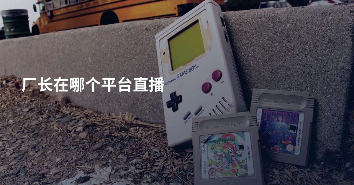 厂长在哪个平台直播