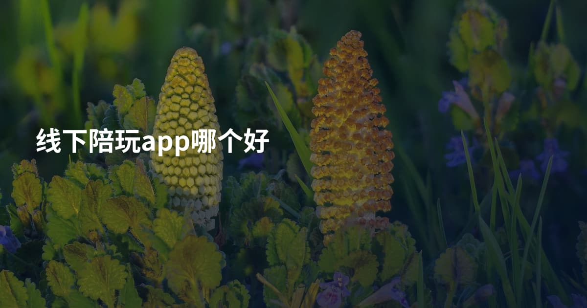 线下陪玩app哪个好