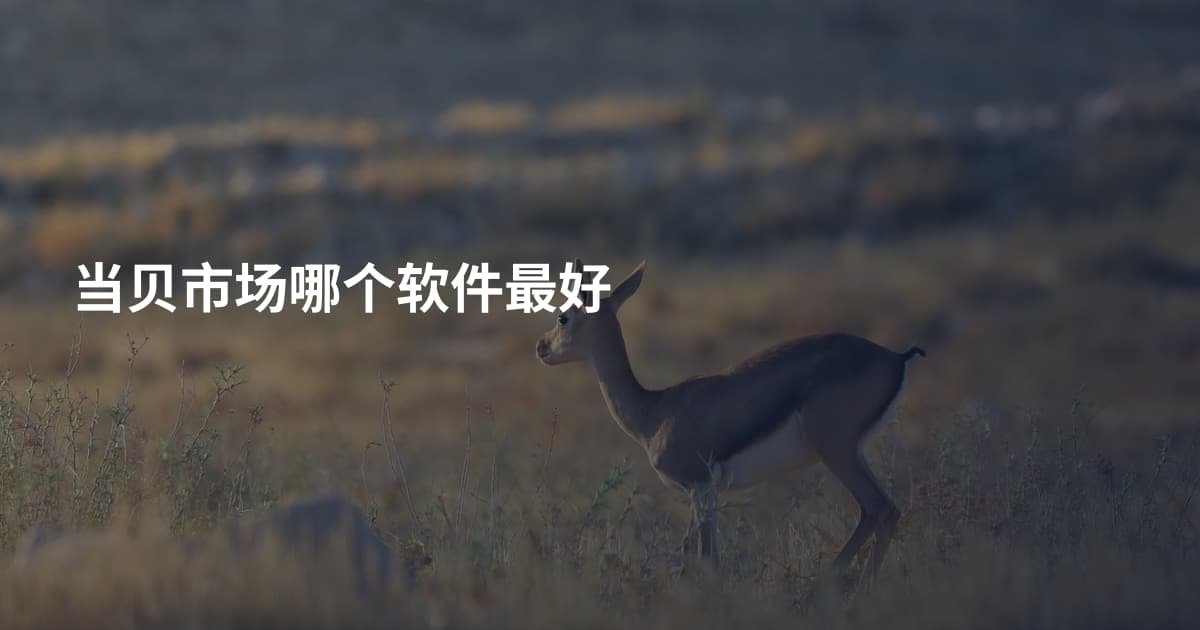 当贝市场哪个软件最好