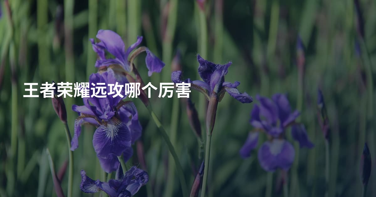 王者荣耀远攻哪个厉害