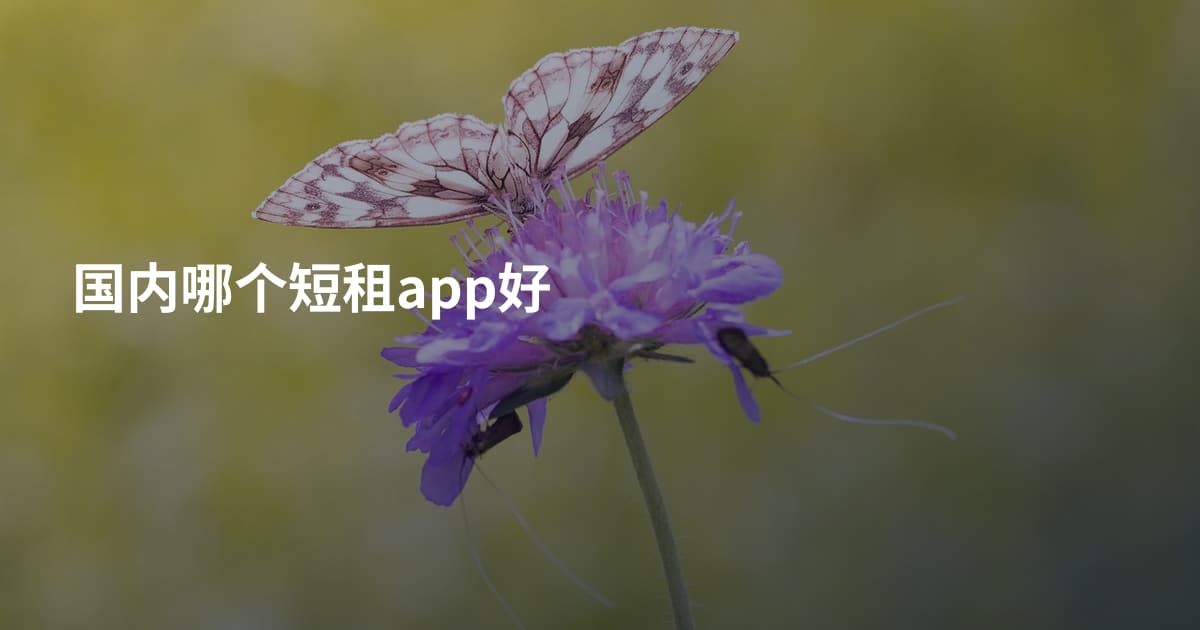 国内哪个短租app好