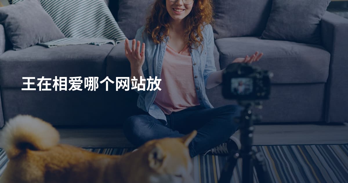 王在相爱哪个网站放