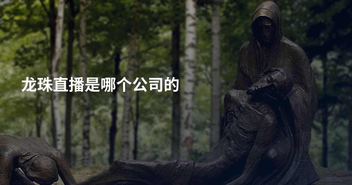 龙珠直播是哪个公司的