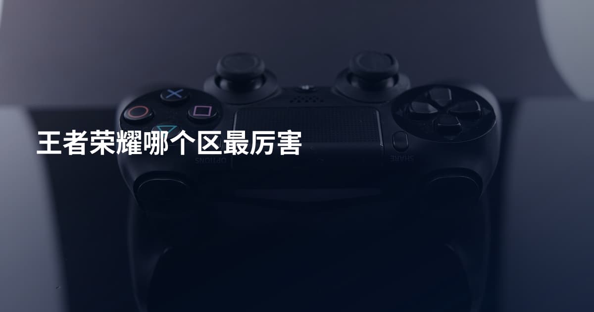 王者荣耀哪个区最厉害