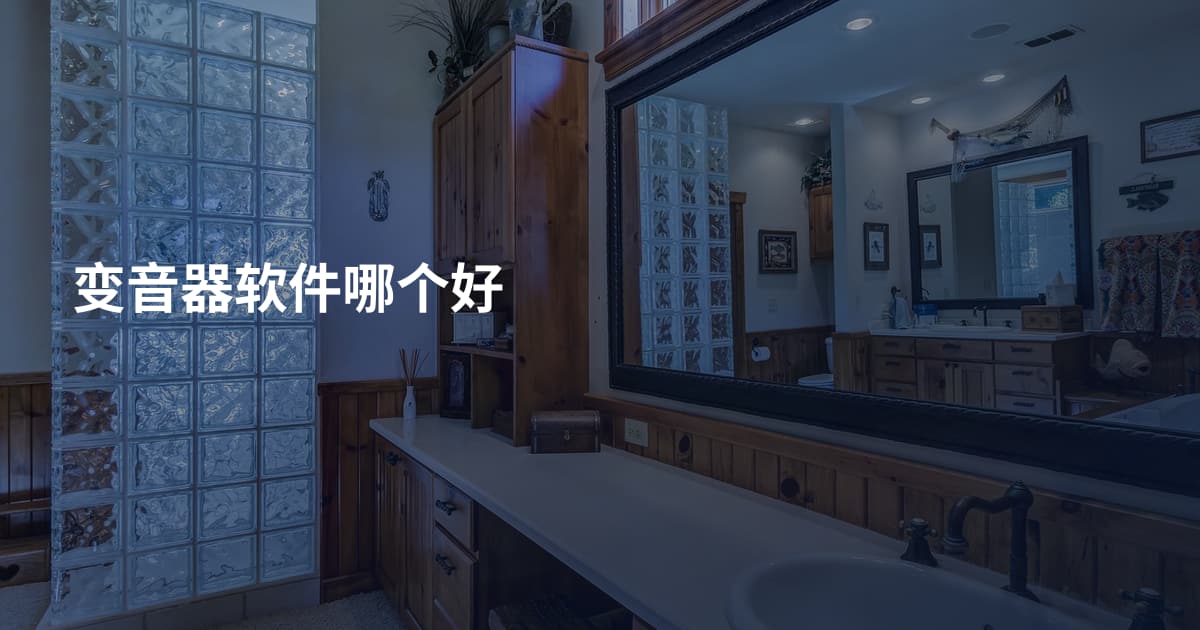 变音器软件哪个好