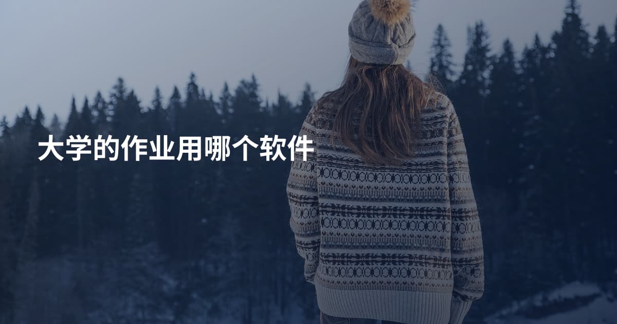 大学的作业用哪个软件