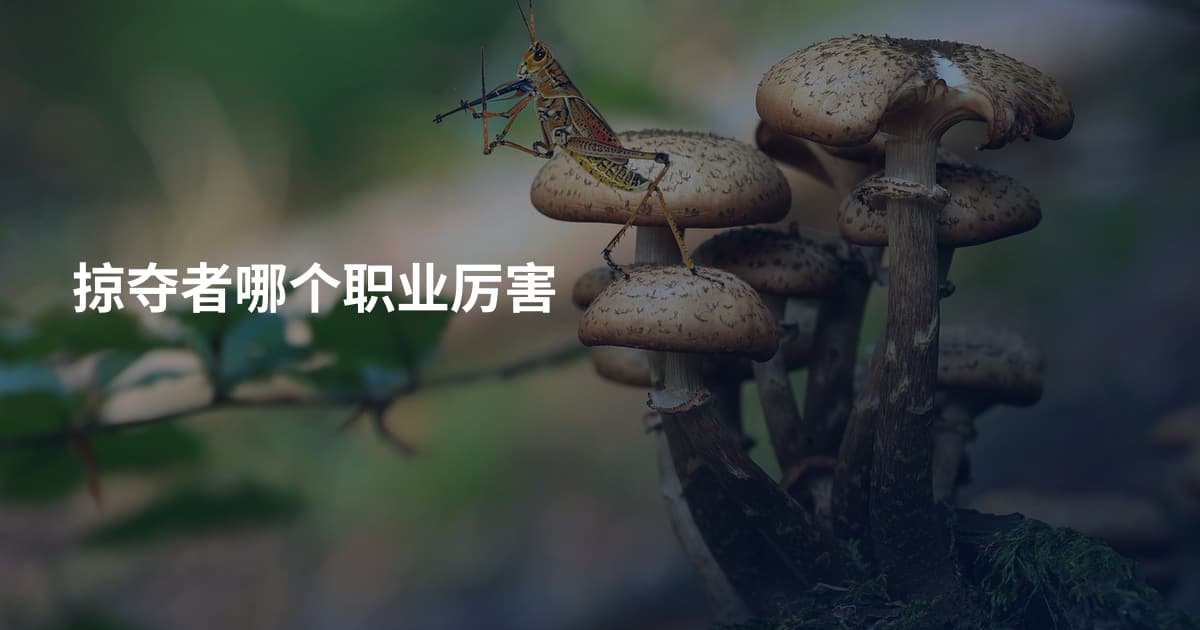 掠夺者哪个职业厉害
