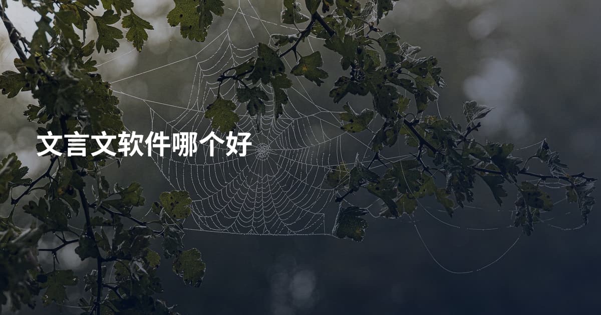 文言文软件哪个好