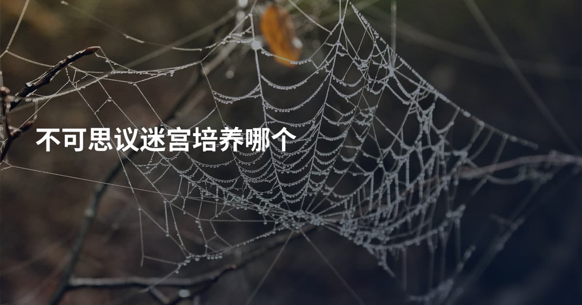 不可思议迷宫培养哪个