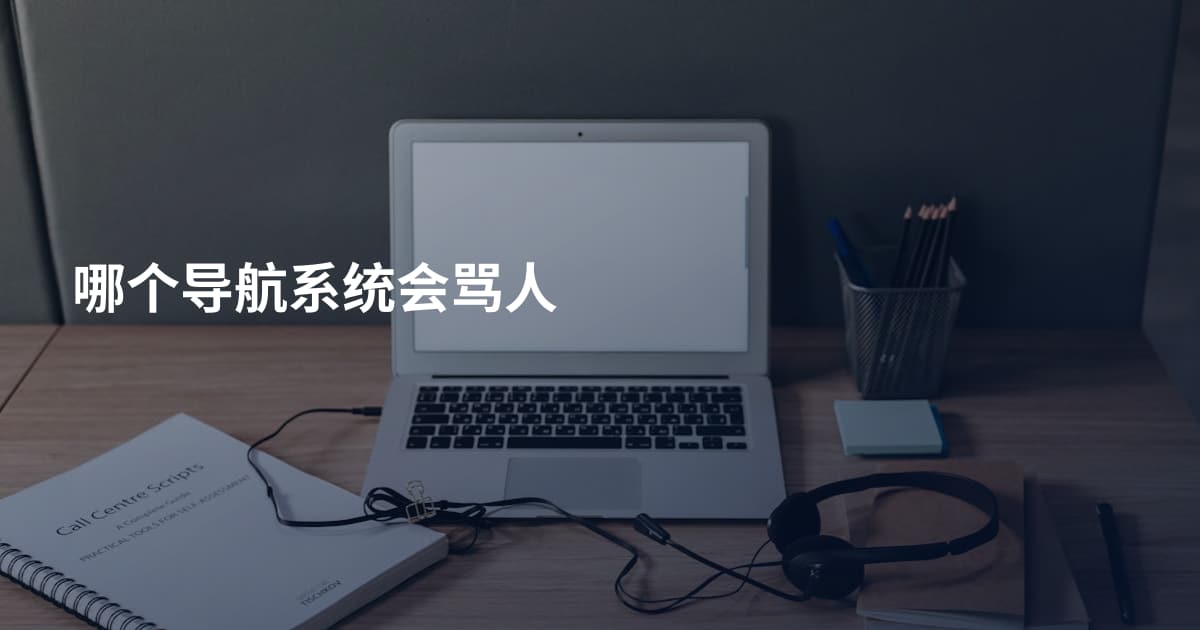 哪个导航系统会骂人