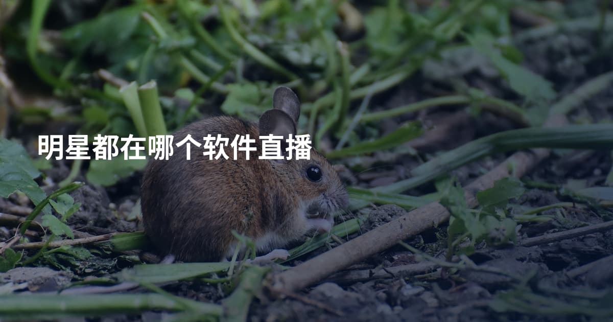 明星都在哪个软件直播