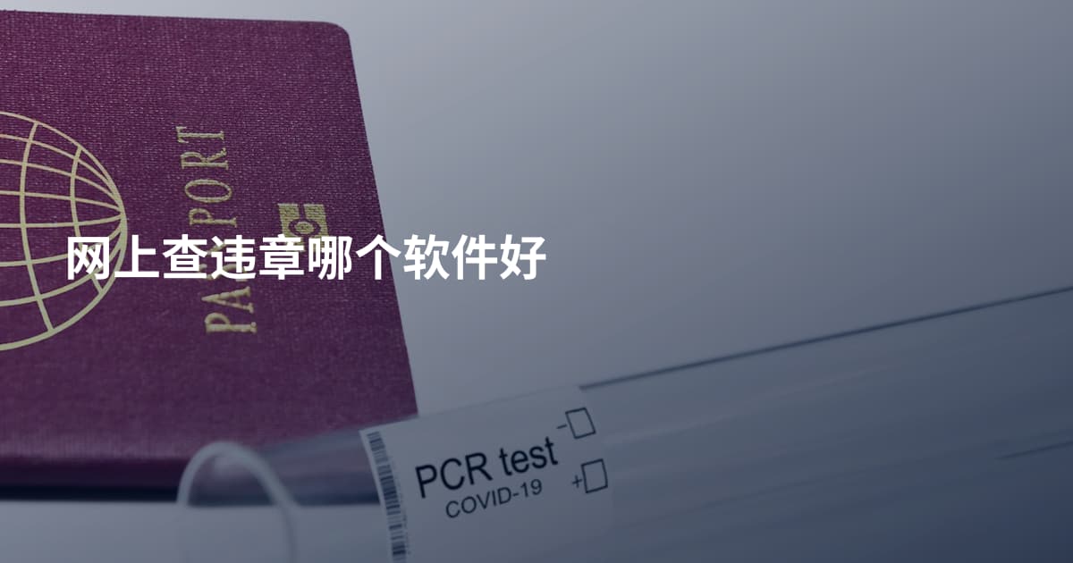 网上查违章哪个软件好