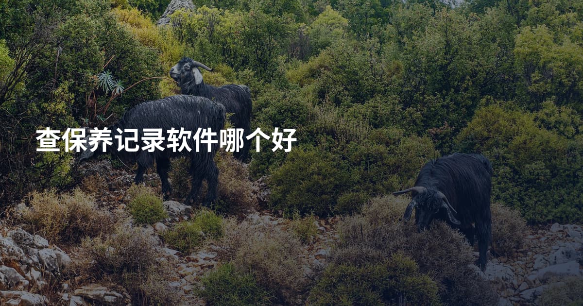 查保养记录软件哪个好