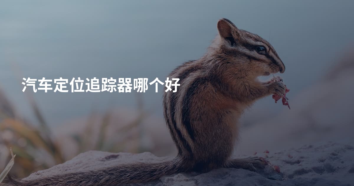 汽车定位追踪器哪个好