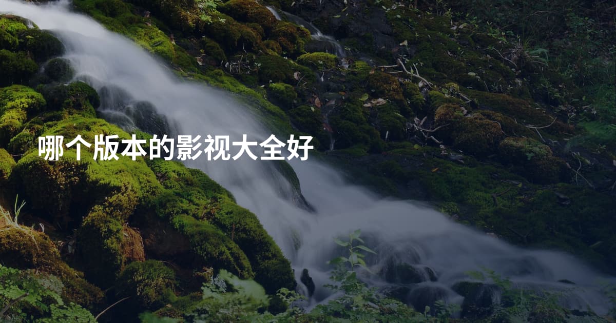 哪个版本的影视大全好