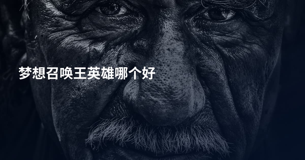 梦想召唤王英雄哪个好