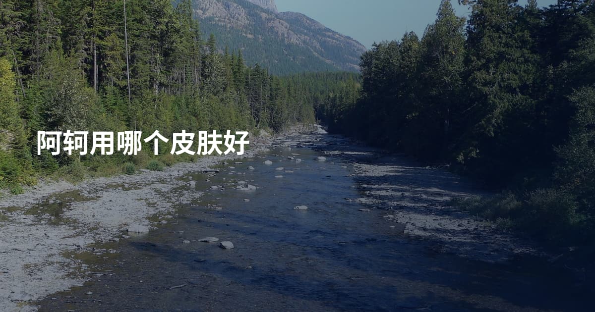 阿轲用哪个皮肤好