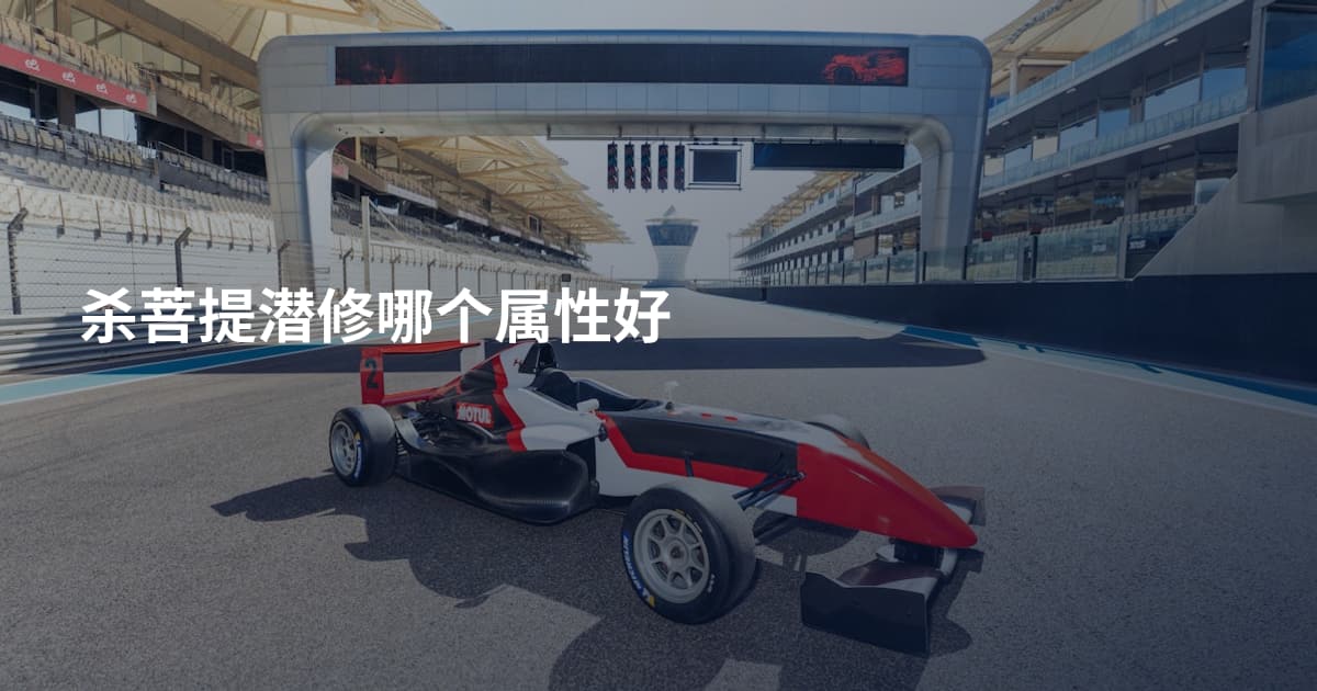 杀菩提潜修哪个属性好