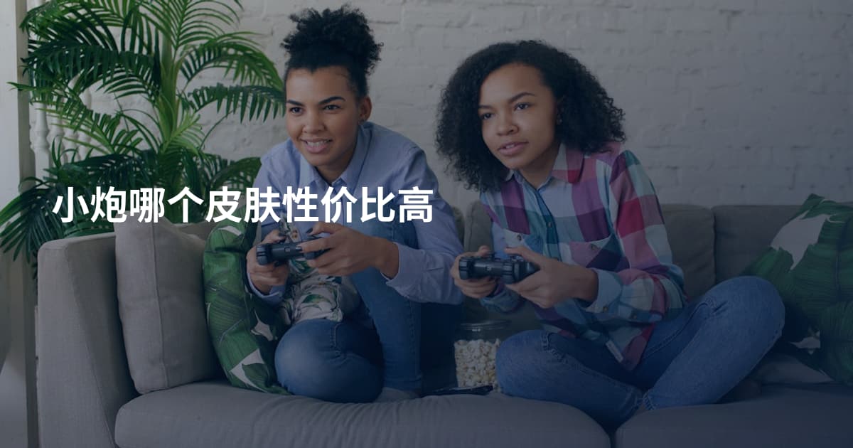 小炮哪个皮肤性价比高