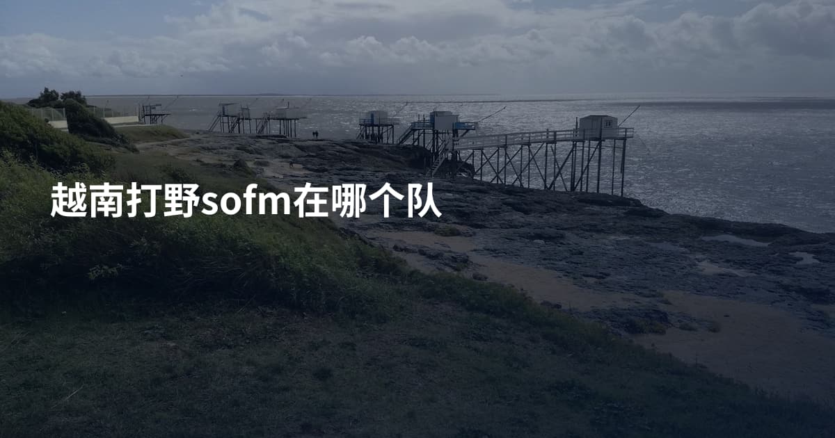 越南打野sofm在哪个队