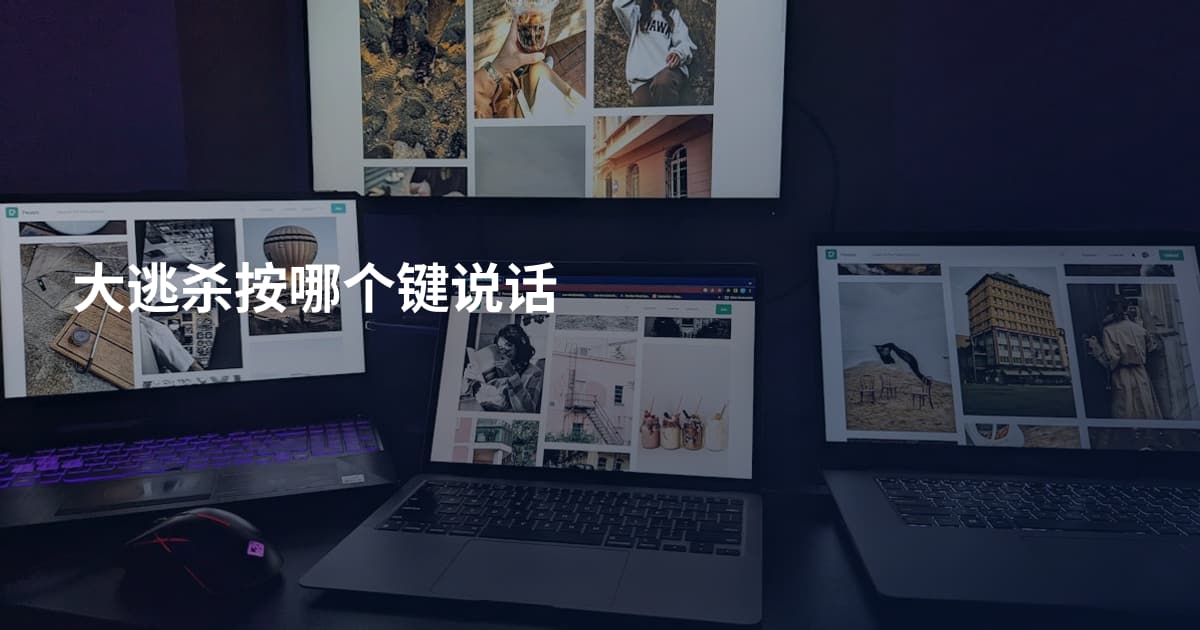 大逃杀按哪个键说话