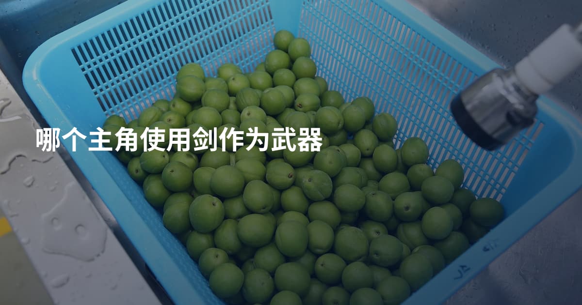 哪个主角使用剑作为武器