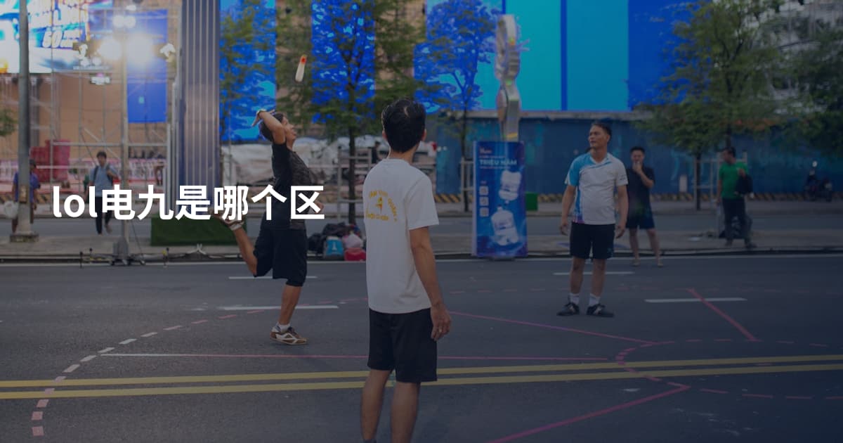 lol电九是哪个区