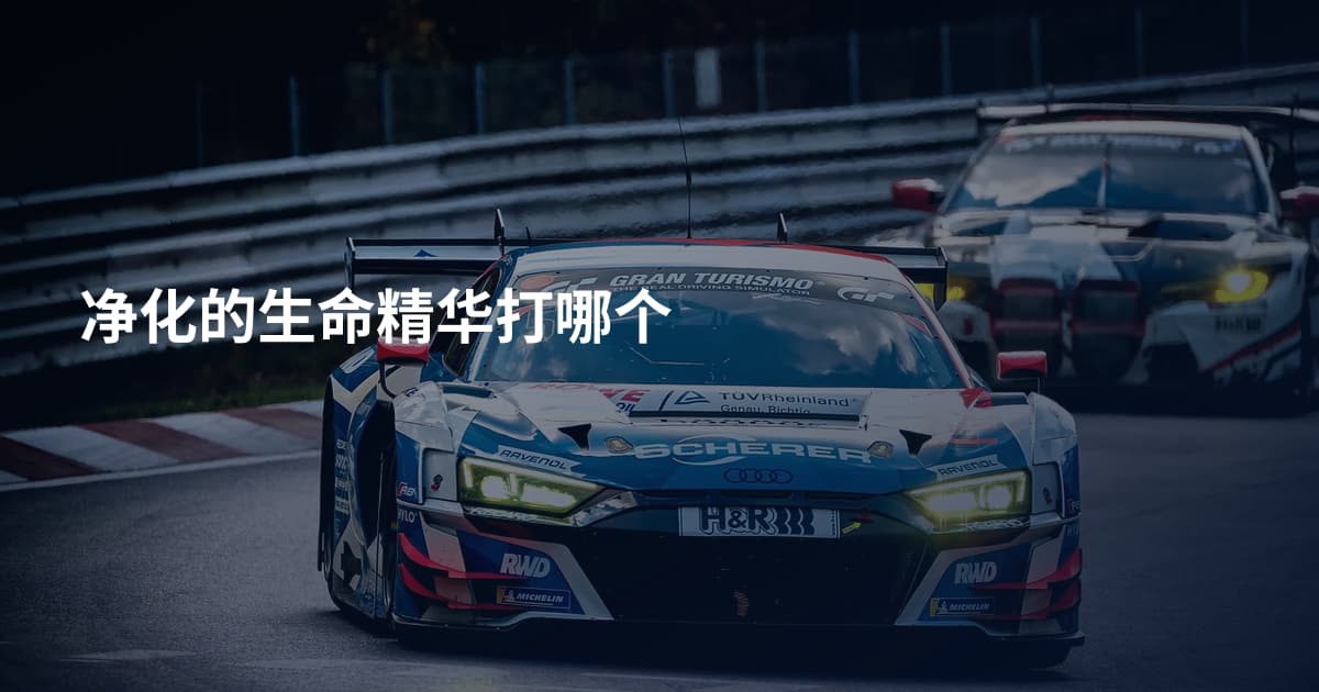 净化的生命精华打哪个