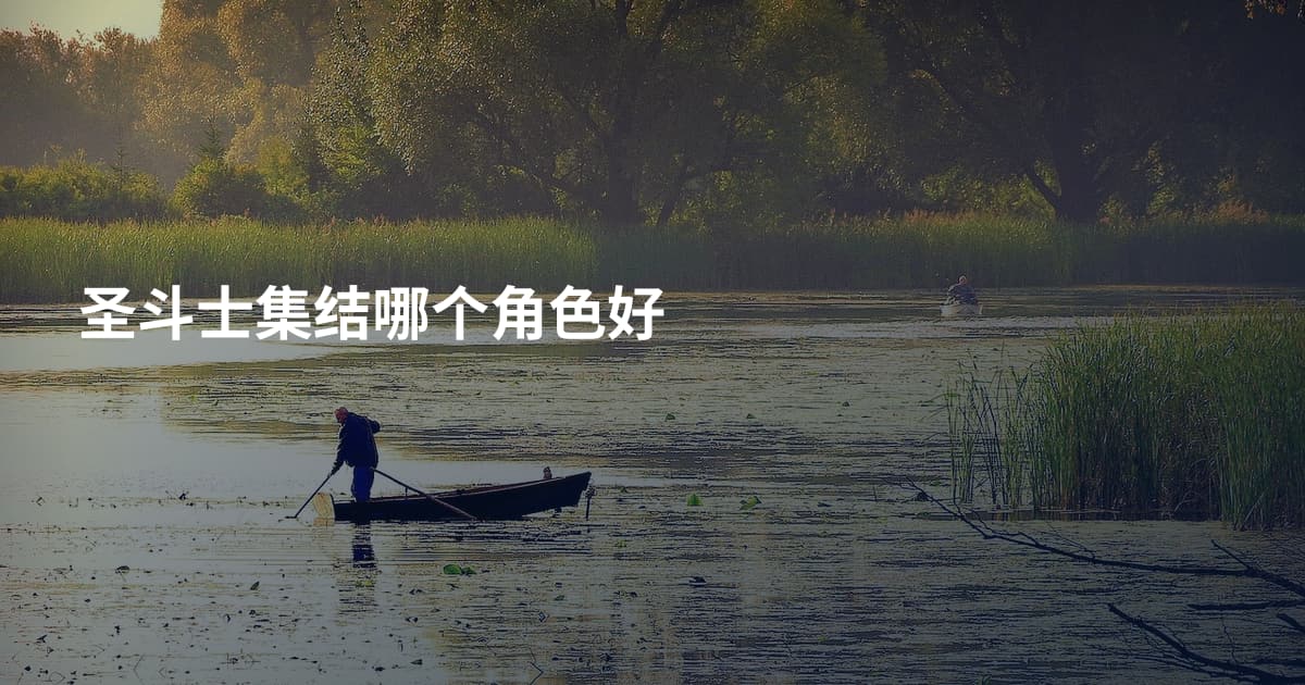 圣斗士集结哪个角色好