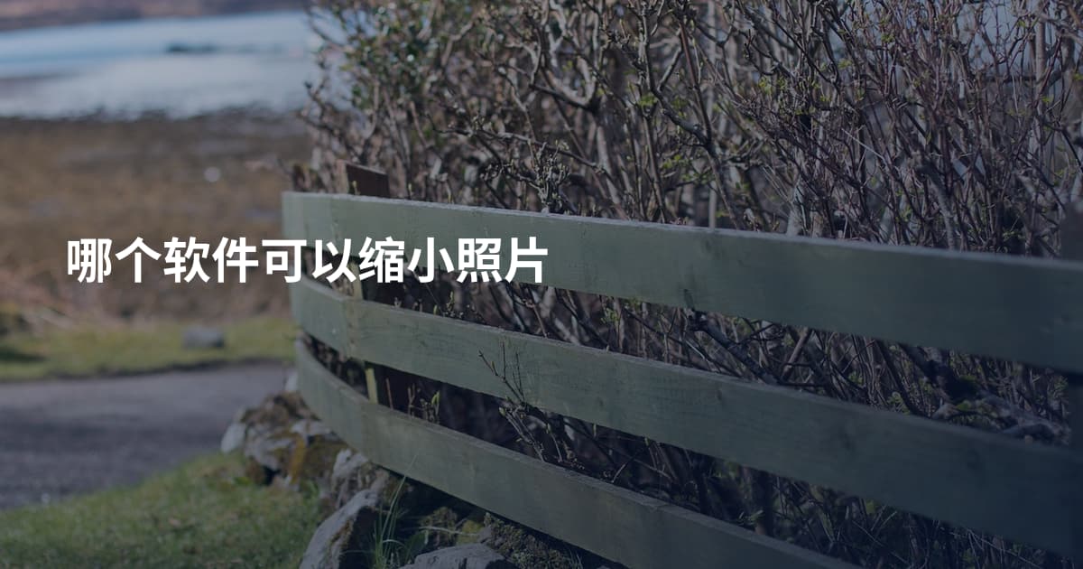 哪个软件可以缩小照片