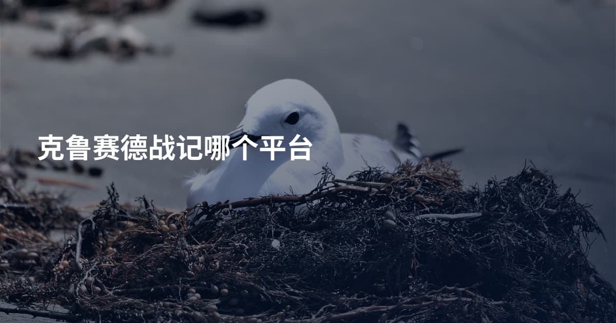 克鲁赛德战记哪个平台