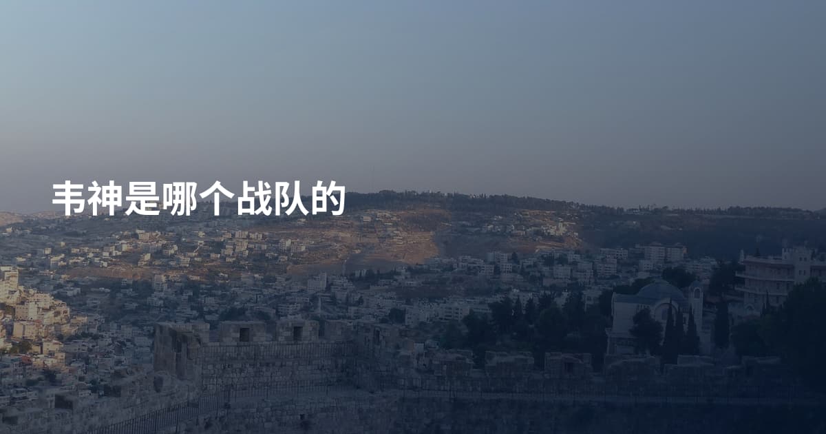 韦神是哪个战队的