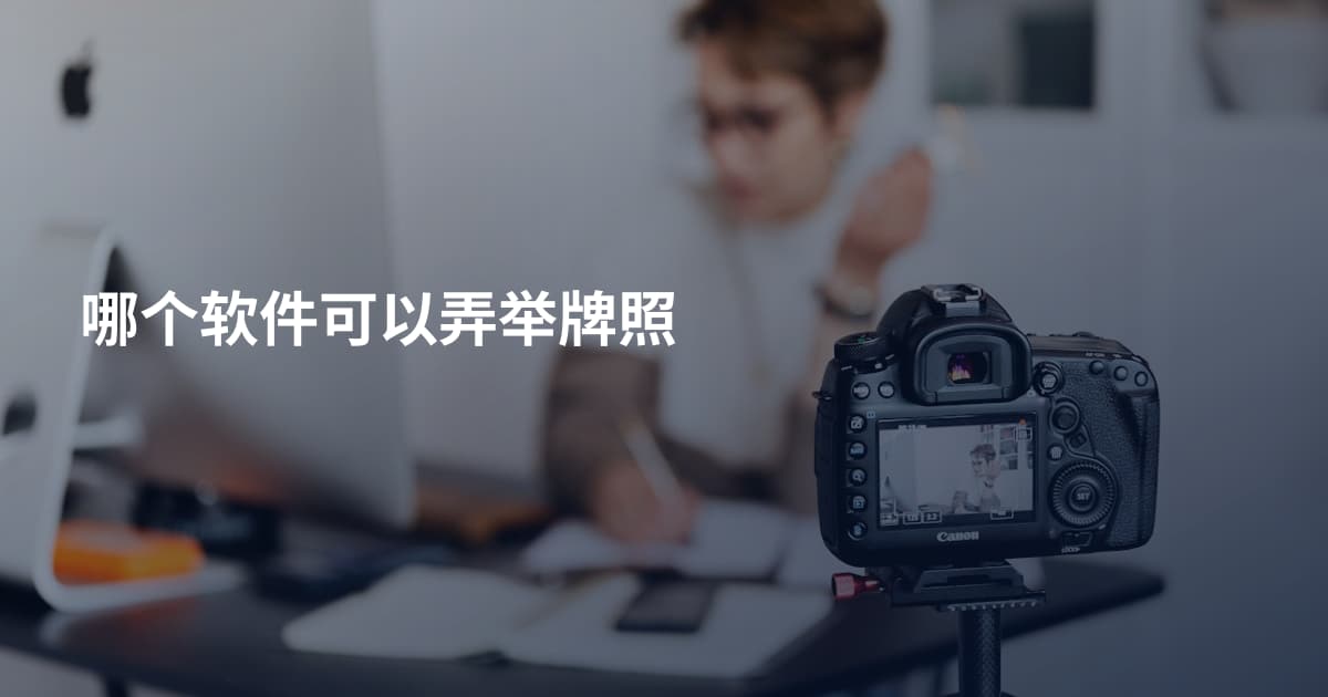 哪个软件可以弄举牌照