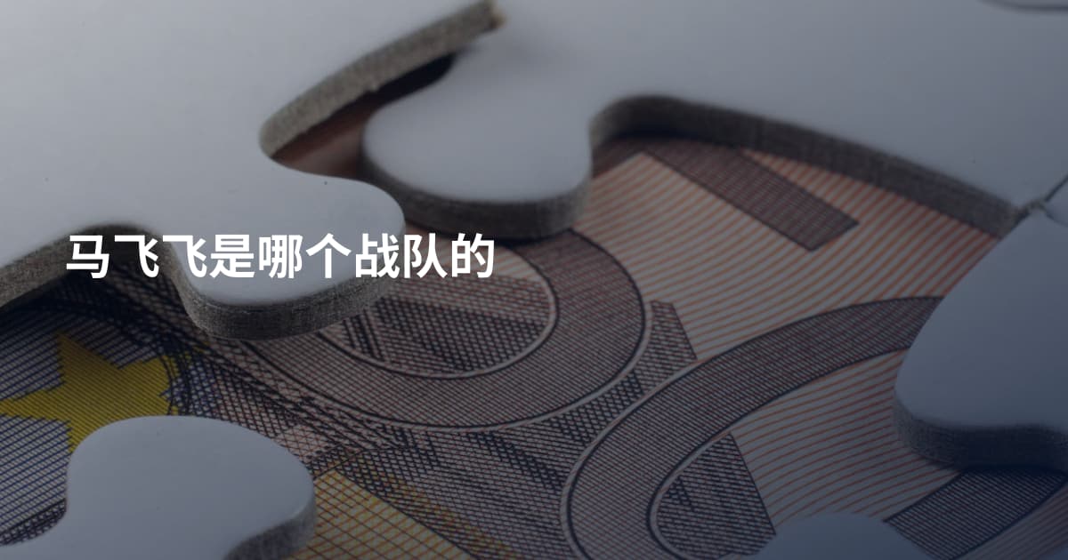 马飞飞是哪个战队的