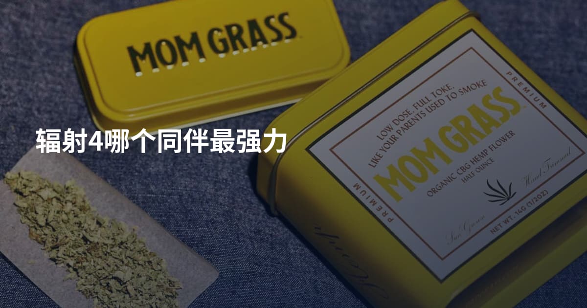 辐射4哪个同伴最强力