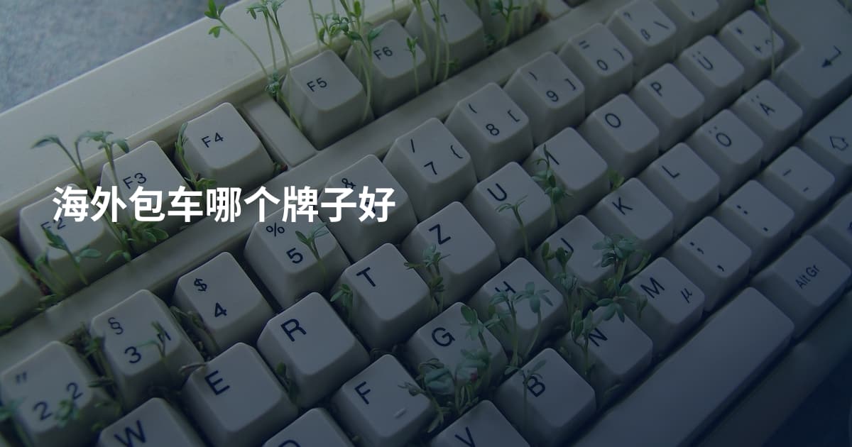 海外包车哪个牌子好
