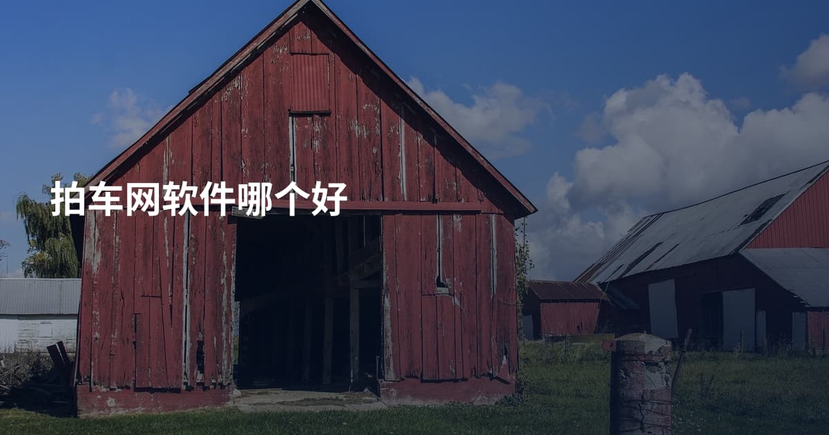 拍车网软件哪个好