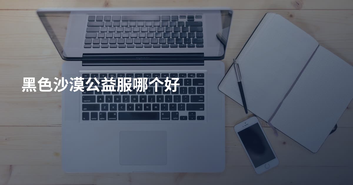 黑色沙漠公益服哪个好