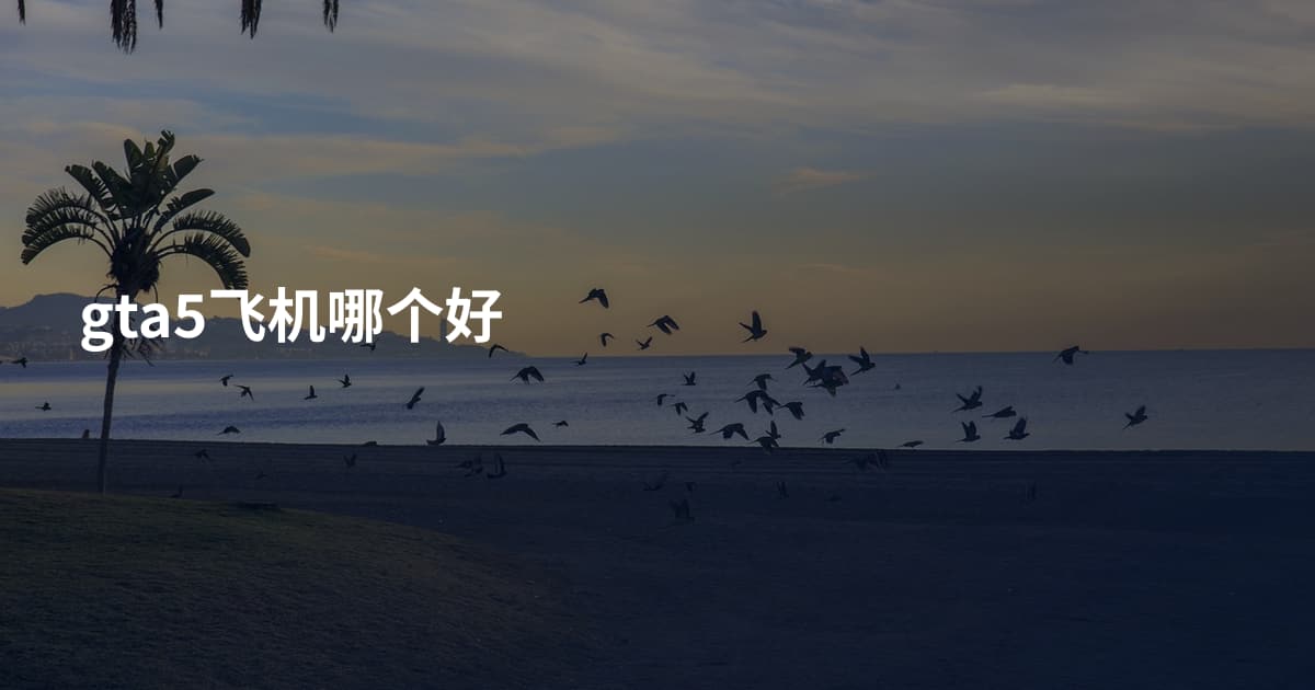 gta5飞机哪个好
