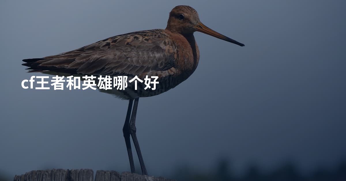 cf王者和英雄哪个好