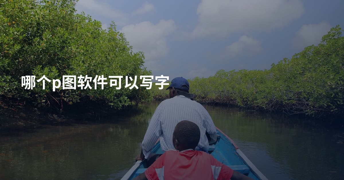哪个p图软件可以写字