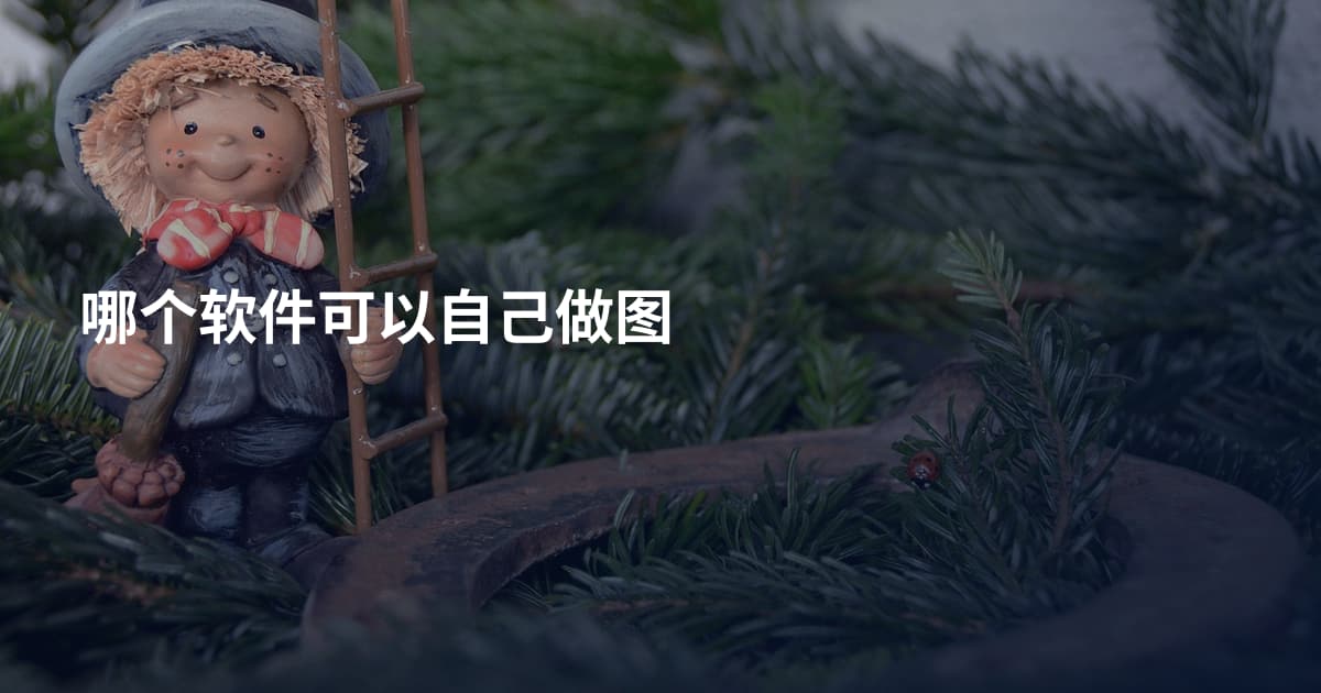 哪个软件可以自己做图