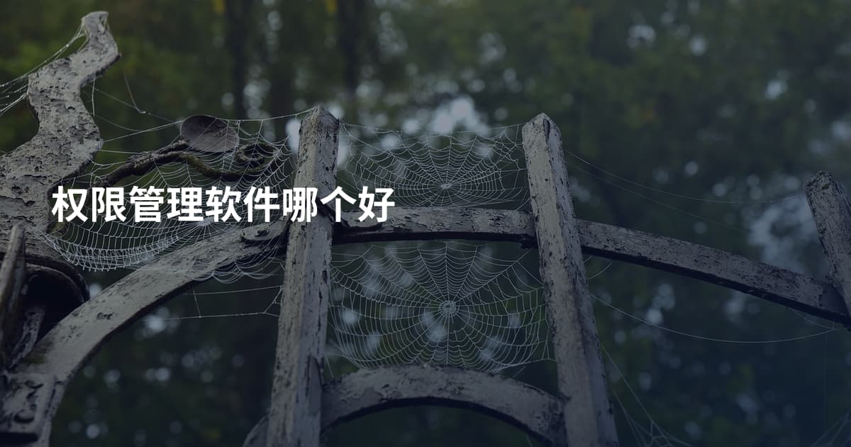 权限管理软件哪个好