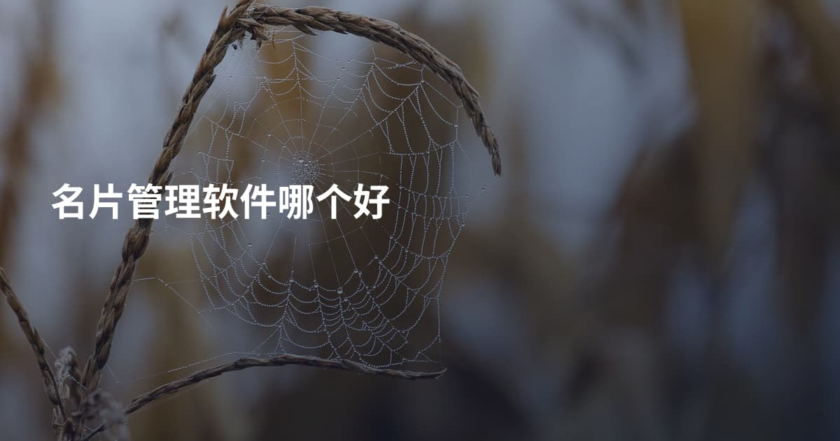 名片管理软件哪个好