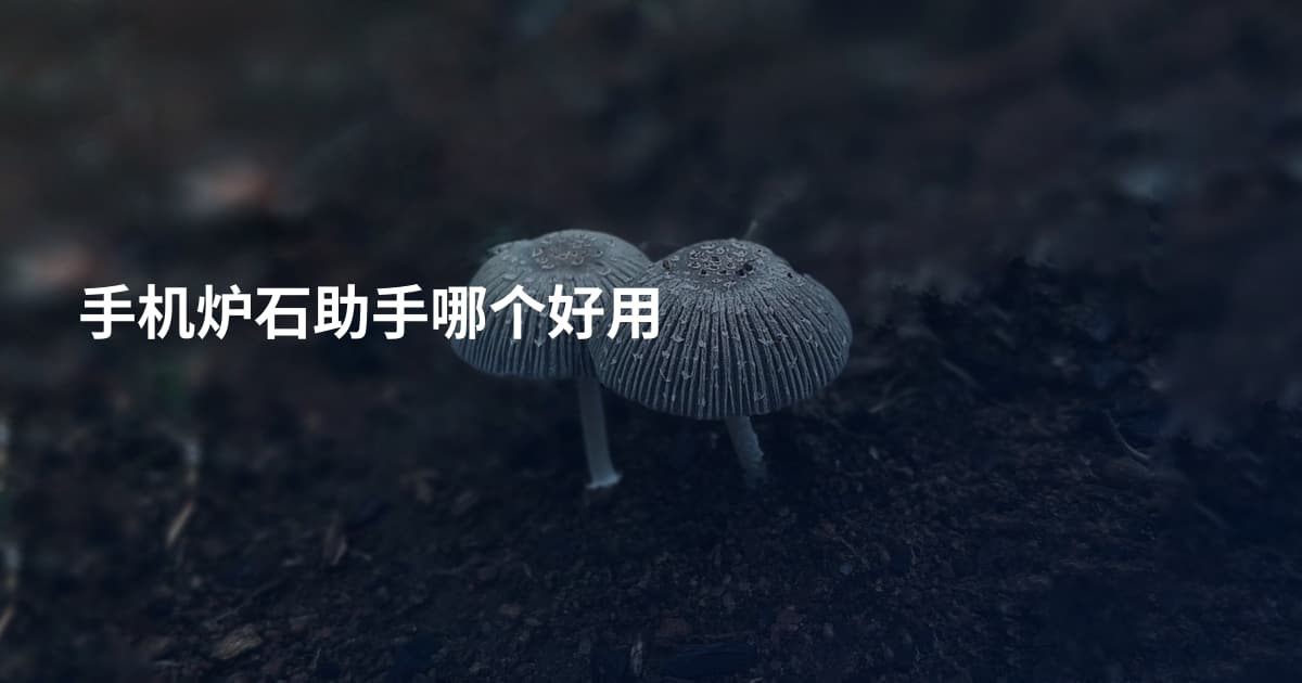 手机炉石助手哪个好用