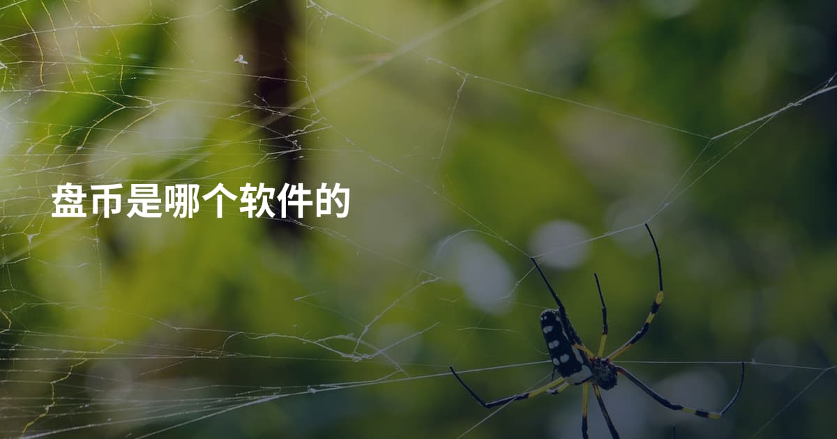 盘币是哪个软件的