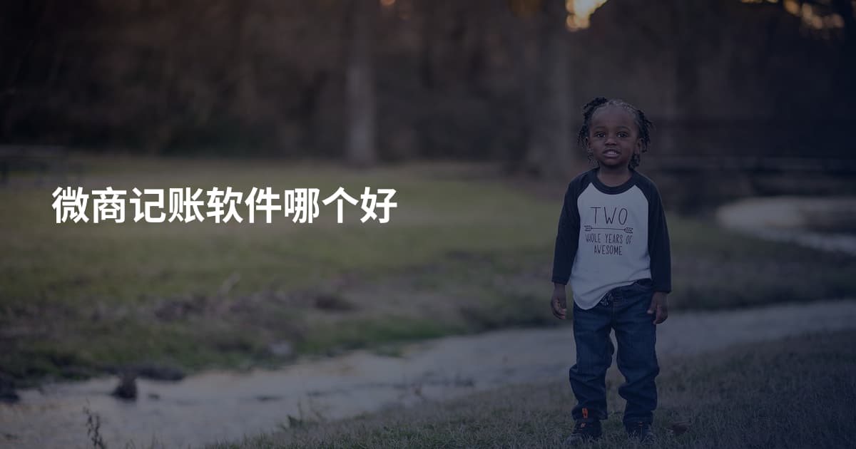 微商记账软件哪个好