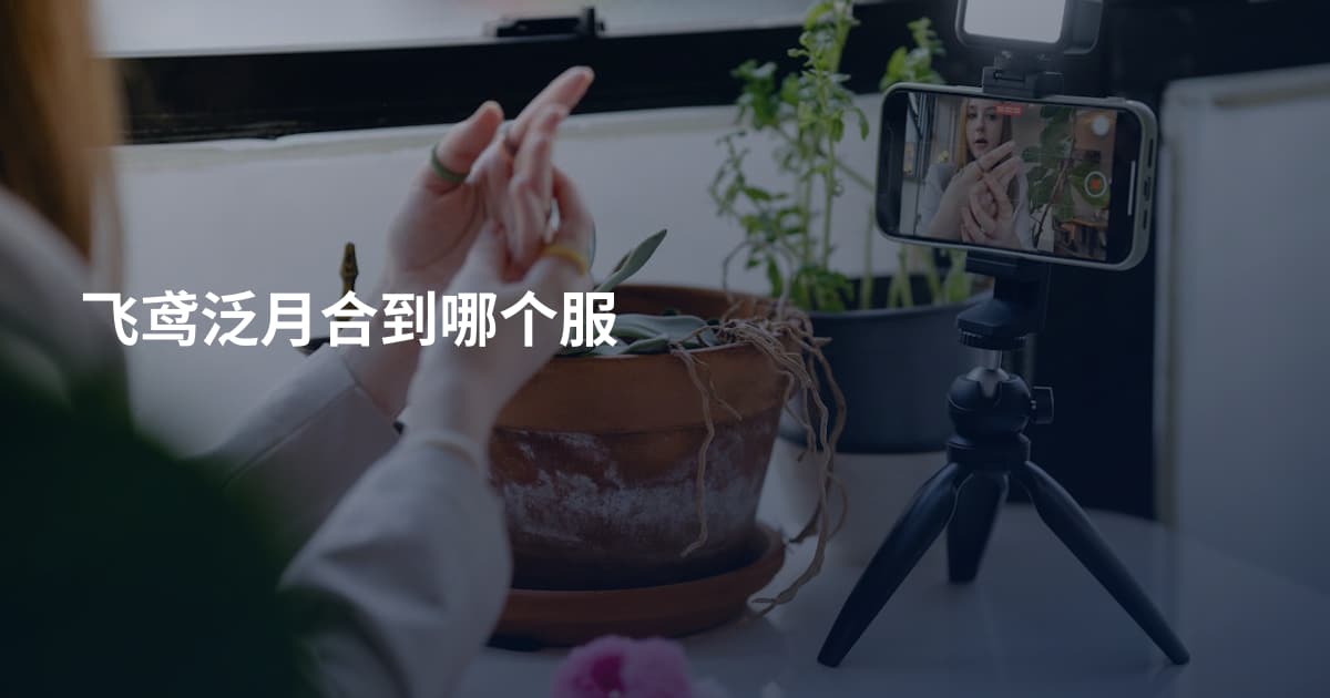 飞鸢泛月合到哪个服