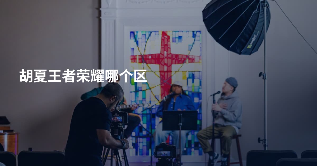 胡夏王者荣耀哪个区