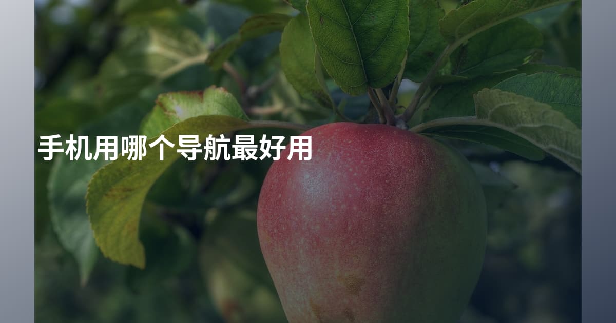 手机用哪个导航最好用